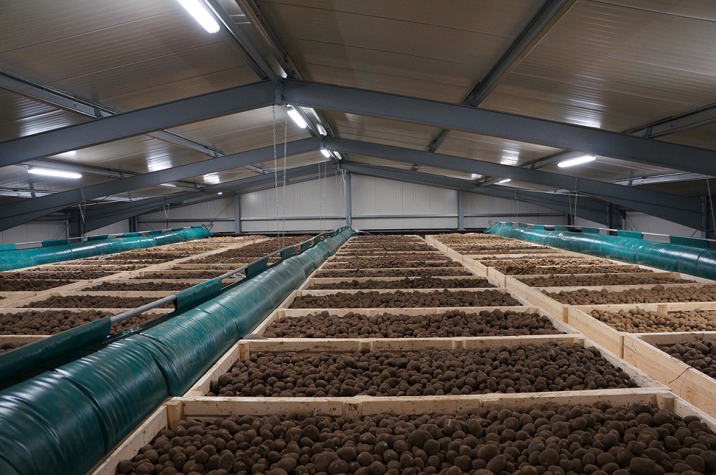 Opslagruimte voor aardappelen met luchtslangen, waar regeltechniek zorgt voor constante temperatuur en luchtvochtigheid voor optimale bewaring en productkwaliteit.